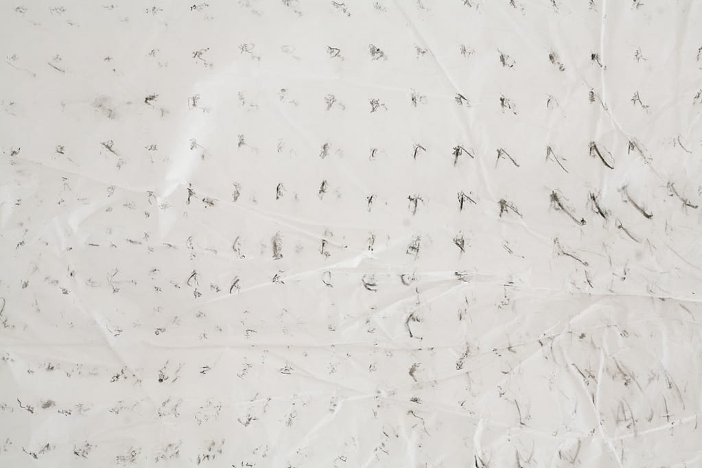 Hide and Seek_© Mara Novak 2015_Projektraum Lucas Cuturi
