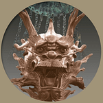 Copyright bei OÖLKG 2024